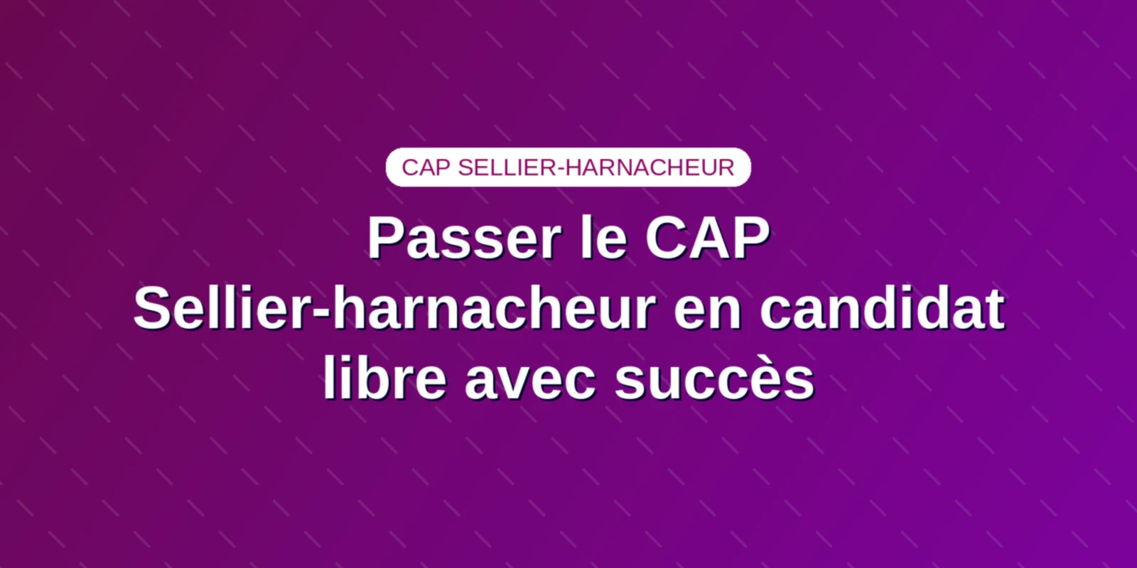 Passer le CAP Sellier-harnacheur en candidat libre avec succès Couverture : Démarches d'inscription, matériel d'atelier et entraînement en candidat libre au CAP Sellier-harnacheur