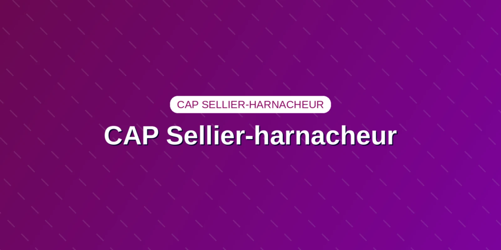 Couverture : Programme d'atelier, épreuves officielles et compétences du CAP Sellier-harnacheur
