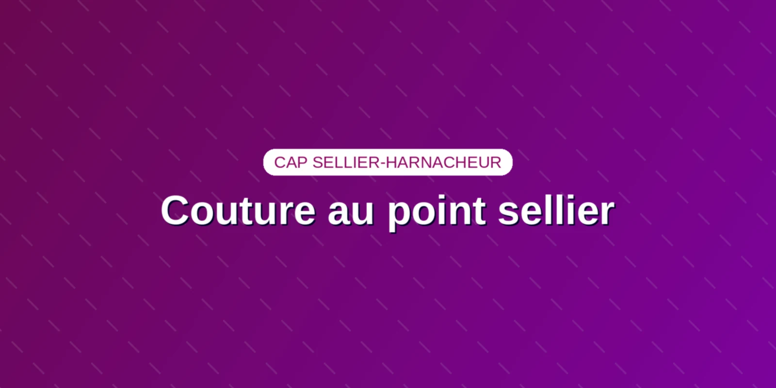 Couture au point sellier : technique du cuir au CAP d’harnais Couverture : Technique de couture au point sellier, outillage et gestuelle pour le CAP Sellier-harnacheur