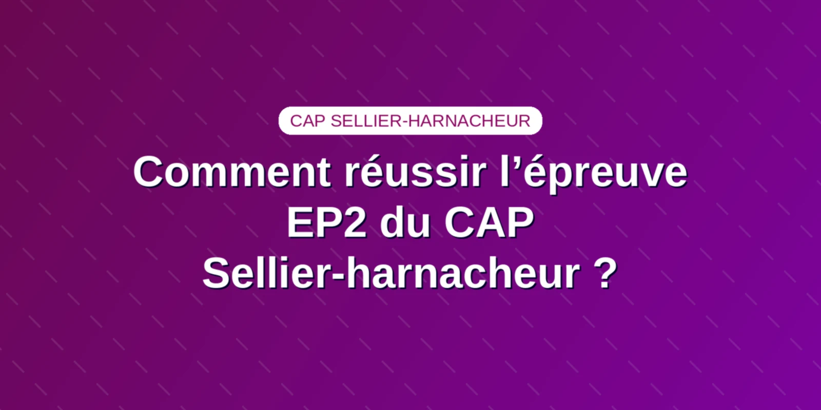 Comment réussir l’épreuve EP2 du CAP Sellier-harnacheur ?
