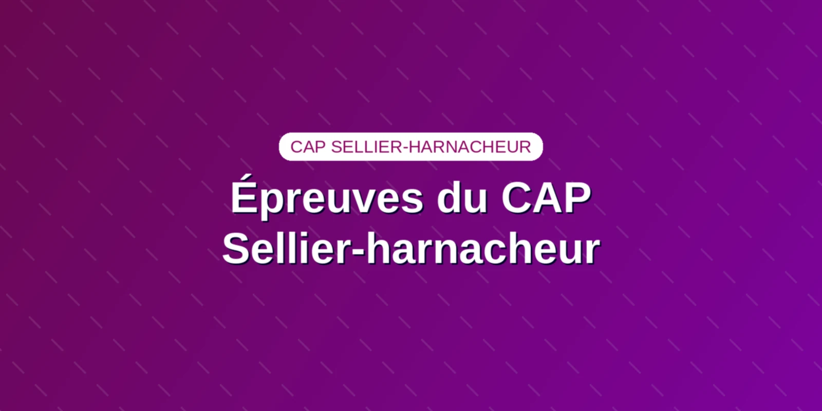 Épreuves du CAP Sellier-harnacheur : coefficients et barème Couverture : Grille des coefficients, durée des épreuves et barème du CAP Sellier-harnacheur
