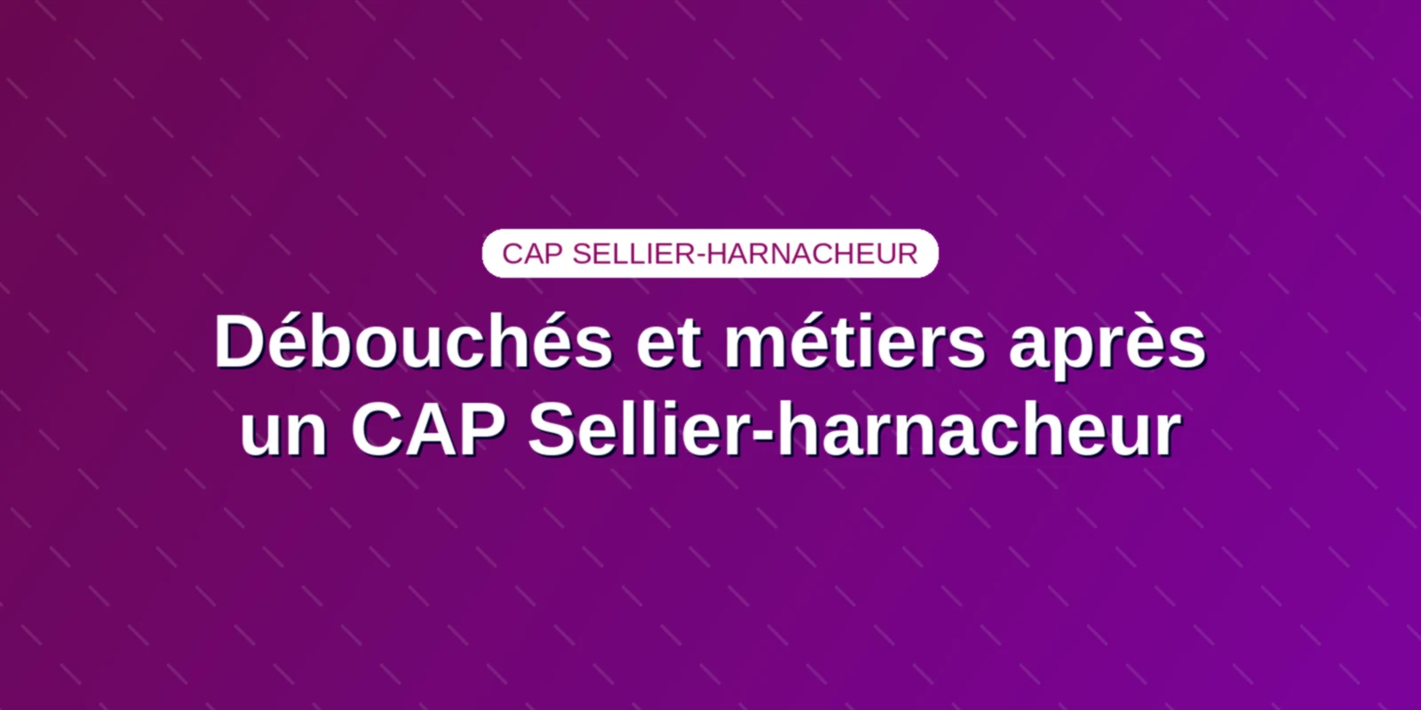 Couverture : Métiers, débouchés professionnels et opportunités de carrière après un CAP Sellier-harnacheur