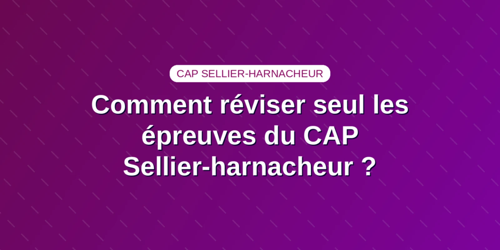 Comment réviser seul les épreuves du CAP Sellier-harnacheur ?