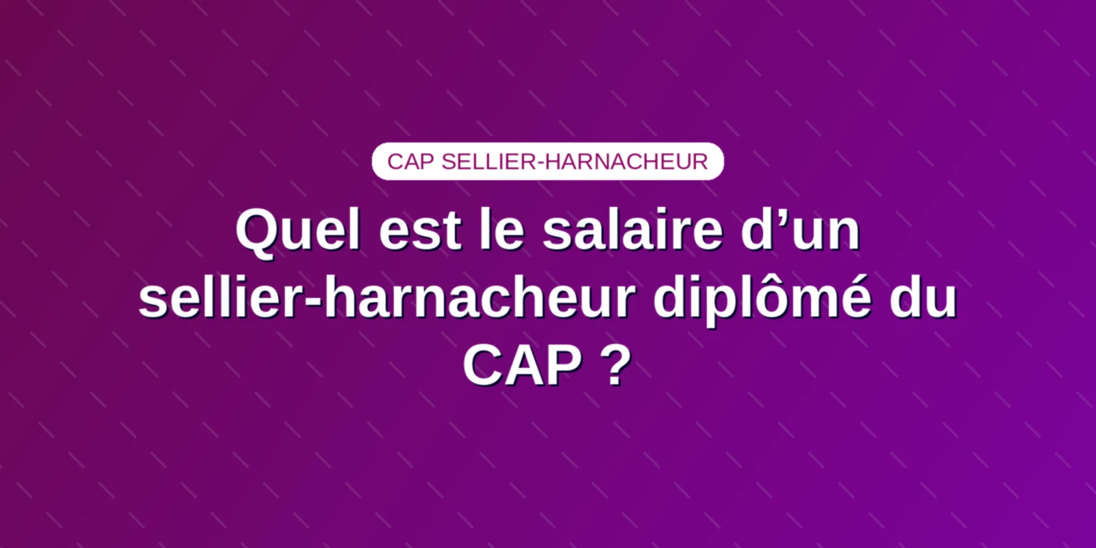 Quel est le salaire d’un sellier-harnacheur diplômé du CAP ?