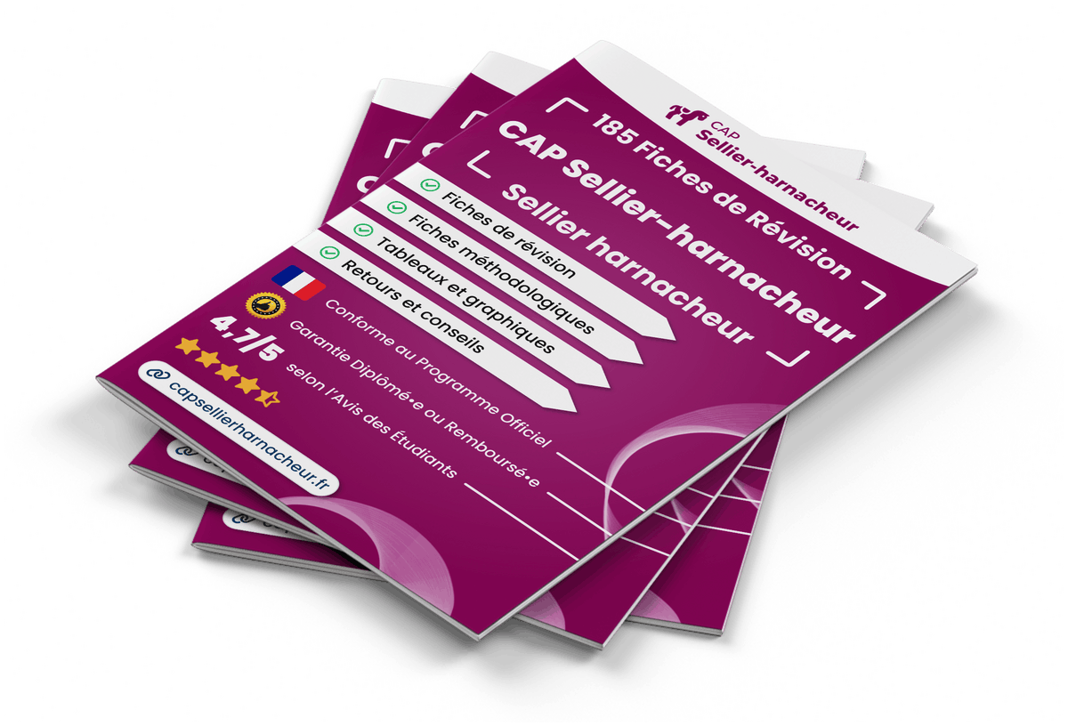 Image produit fiches-de-revision